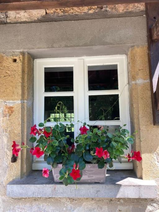 Vakantiehuis La Poire, Op Landgoed Aan De Dordogne Prudhomat Exteriér fotografie